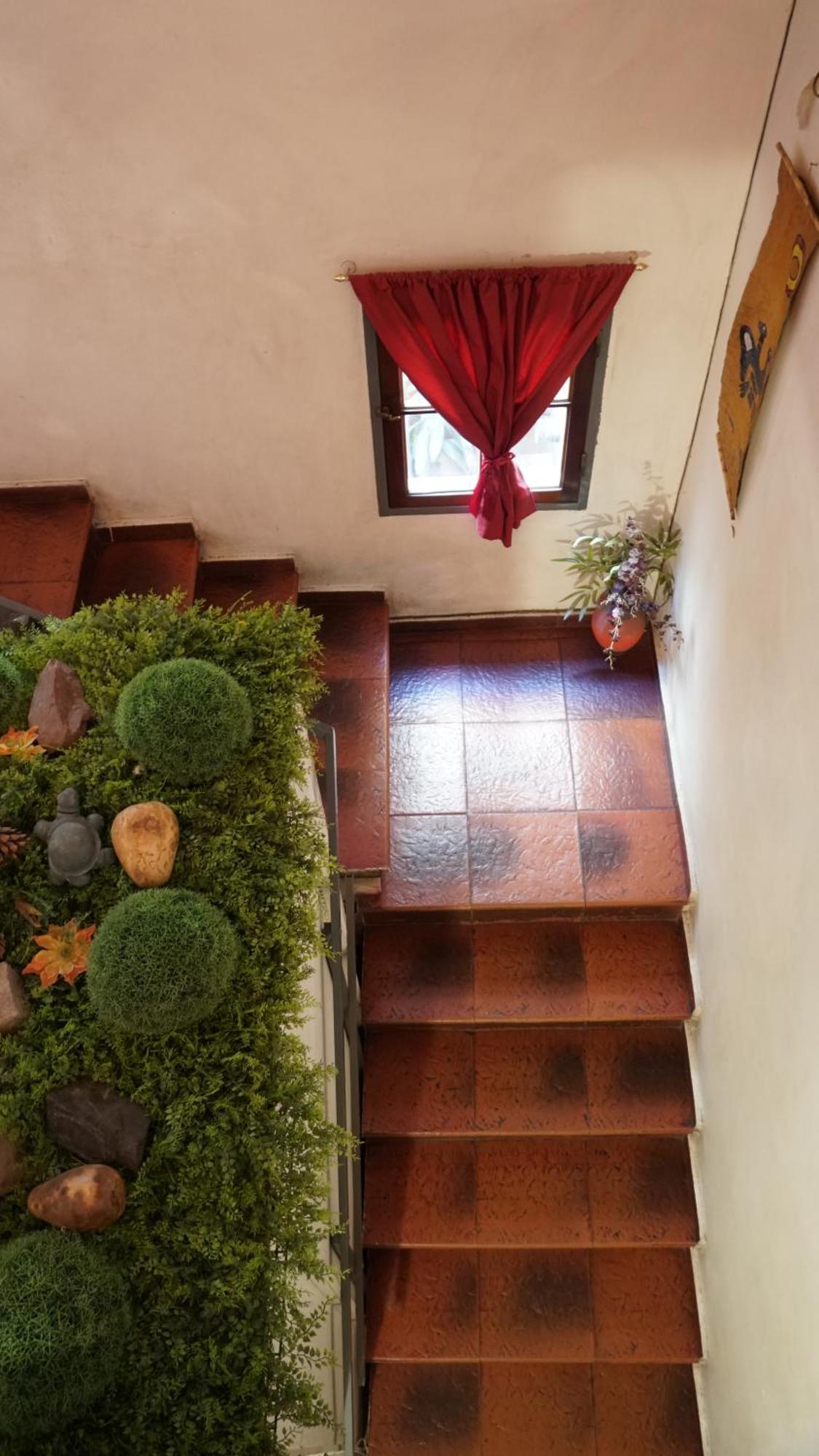 Hostel & Spa Mediterranea Córdoba Luaran gambar
